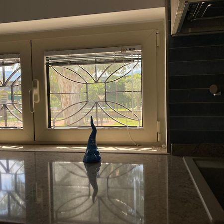 Villa Del Gaudio Rooms & Apartments 카스텔라마레디스타비아 외부 사진